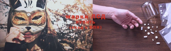 мяу мяу мука Арсеньев