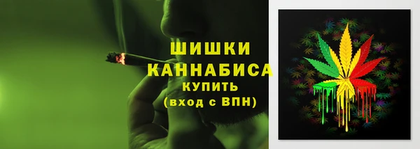 гашик Аркадак
