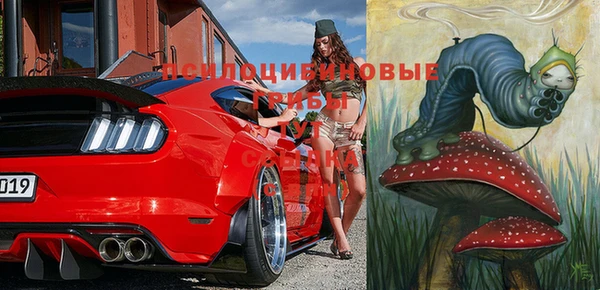 ешки Пестово