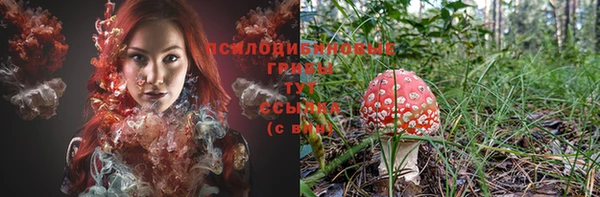 бошки Переславль-Залесский