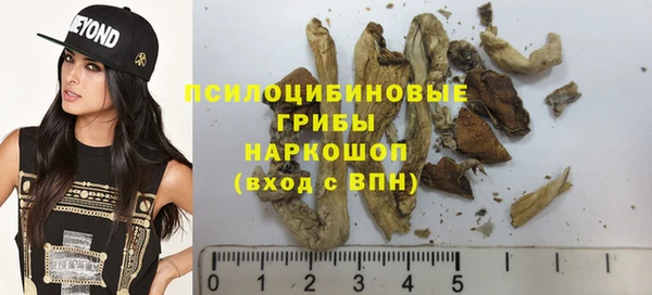 мяу мяу мука Арсеньев
