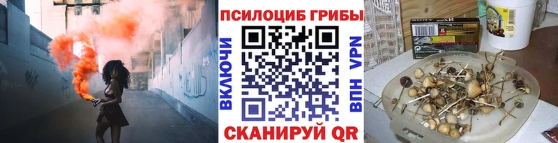 Псилоцибиновые грибы MAGIC MUSHROOMS  купить наркотики сайты  Нюрба 